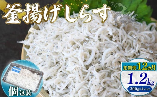 【定期便12回】釜揚げしらす 1.2kg（300g×4パック）|しらす干し 釜揚げ ごはん 丼 パスタ 魚 料理 高知県 南国市 シラス しらす ちりめん じゃこ かちり 小魚 魚貝 魚貝類 しらす シラス 海鮮 しらす丼 シラス丼 ふるさと納税しらすしらす おすすめ 高知産しらす 高知県産しらす 米 こめ コメ に合う