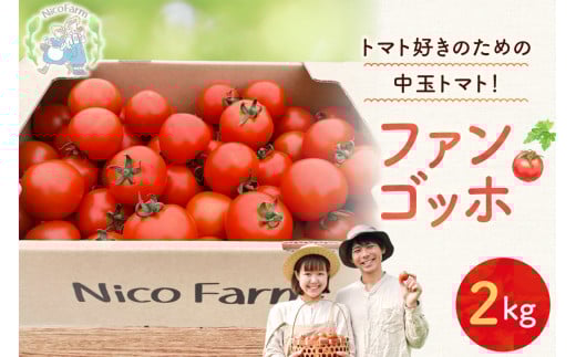 NicoFarm ファンゴッホ(中玉トマト)2Kg 2161481 - 北海道余市町