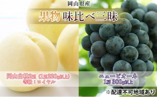 [№5615-0697]桃 ぶどう 2025年 先行予約 果物 味比べ三昧 岡山 白桃 2玉 等級：ロイヤル（1玉220g以上）ニュー ピオーネ 1房 380g以上 詰合せ もも 葡萄 岡山県産 国産 フルーツ 果物 ギフト 岡山の桃 岡山の葡萄 食べ比べ