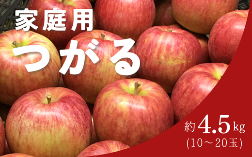 KR28-25A りんご つがる 家庭用 約4.5㎏（10～16玉） / 8月下旬頃～配送予定 // 長野県 南信州 松川町産 自家用 訳あり リンゴ 林檎 早生りんご 農家直送 農家支援 産地直送 約5kg 1379108 - 長野県松川町