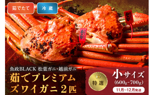 【蟹の匠 魚政】茹で　プレミアムズワイガニ 魚政BLACK（松葉ガニ・越前ガニ）特撰 小サイズ（600～700g） 2匹セット　(11月～12月発送)【平日】　松葉蟹 蟹 かに カニ ガニ がに ボイル 海産物 甲殻類 海の幸 まるごと　UO01302