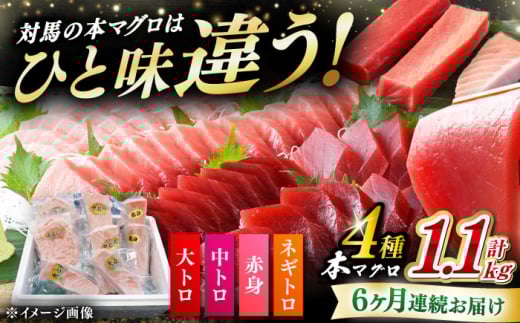 【全6回定期便】 対馬産 本マグロ 4種 計1.1kg（赤身/中トロ/大トロ/ネギトロ）《対馬市》【対海】 冷凍配送 食べ比べ 新鮮 手巻き寿司 海鮮丼 [WAH038] 2157709 - 長崎県対馬市