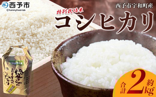 新米＜令和7年産 西予市宇和町産 特別栽培米コシヒカリ 約2kg＞ お米 コメ こめ 白米 精米 単一原料米 ご飯 白飯 ごはん ライス 穀物 こしひかり コシヒカリ 特産品 愛媛県産 西予市産 宇和町産 三好フク【常温】