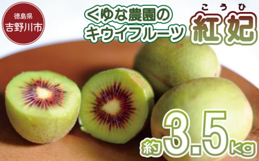 訳あり キウイフルーツ 紅妃 3.5kg 先行予約 2025年10月上旬～ 年内に発送予定 紅妃 レインボーレッド キウイ 国産 果物 デザート スイーツ ケーキ ゼリー ジュース ジャム シャーベット アイス  フルーツ ギフト プレゼント 贈答 送料無料 徳島県 吉野川市 くゆな農園 2149119 - 徳島県吉野川市