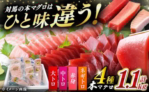 対馬産 本マグロ 4種 計1.1kg(赤身/中トロ/大トロ/ネギトロ)[対馬市][対海] 冷凍配送 食べ比べ 新鮮 手巻き寿司 海鮮丼 贈り物 