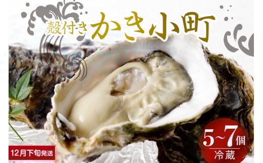 【2025年12月下旬発送】宮原水産 かき小町 殻付き 5～7個 ku005-006-12-3-25