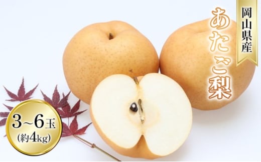 [№5615-0700]梨 2025年 先行予約 あたご梨 約4kg 3～6玉入り  なし ナシ  岡山県産 国産 フルーツ 果物 ギフト 和梨 デザート 食後 日本一の大きさ 大玉 シャリシャリ