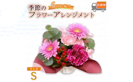 【6回定期便】 季節のフラワーアレンジメント （S） | 発送月固定 花 お花 生花 フラワー フラワーアレンジメント 花束 花の定期便 定期便 6回 配送地域限定 京都府 綾部市 2161172 - 京都府綾部市
