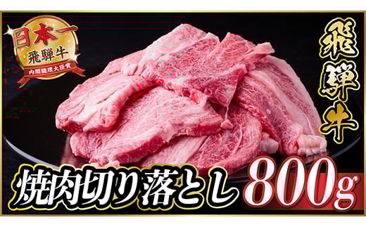 飛騨牛 焼肉切り落とし 約800g(約400g×2)タレ付き 訳あり＜冷蔵便＞A4～A5等級黒毛和牛【1543571】