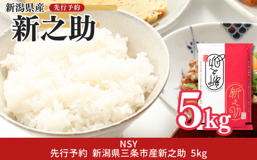 先行予約 新潟県三条産新之助 5kg×1袋 令和7年産新之助 精米 新潟県産新之助 【014S148】