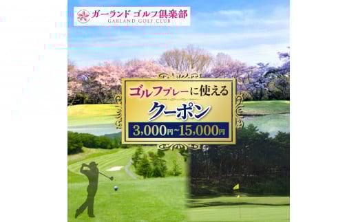 ゴルフプレーに使えるクーポン | ゴルフ ラウンド キャディ 奈良県吉野郡 大淀町
