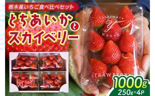 【2026年1月発送開始】【先行予約】合計1,000g 栃木県産 いちご食べ比べセット 甘くて可愛い「とちあいか」× 大粒高級「スカイベリー」 | 栃木県 ふるさと納税 いちご イチゴ 苺 果物 フルーツ とちあいか ご褒美 ハート型 熟成 スカイベリー 大粒いちご セット 食べ比べ こだわり (DS003)