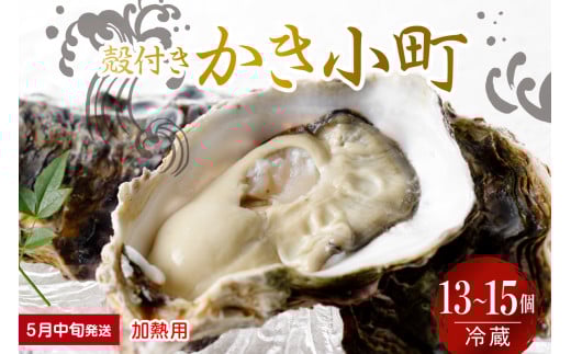 【2026年5月中旬発送】宮原水産 かき小町 殻付き 13～15個 加熱用 ku005-012-05-2-25