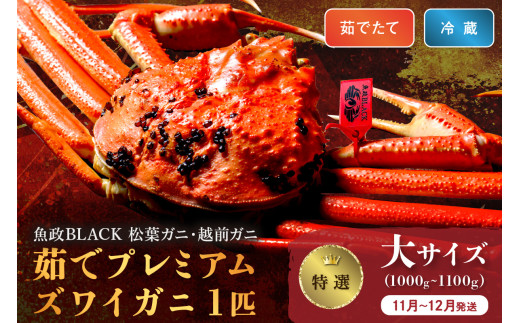 【蟹の匠 魚政】茹で　プレミアムズワイガニ 魚政BLACK（松葉ガニ・越前ガニ）特撰 大サイズ（1000～1100g） 1匹(11月～12月発送)【平日】　松葉蟹 蟹 かに カニ ガニ がに ボイル まるごと 海産物 海鮮 魚介 魚介類 甲殻類 海の幸 小 京都 京丹後 京丹後市 ふるさと納税 蟹 送料無料　UO01298