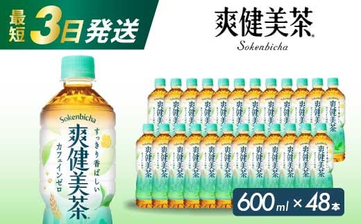爽健美茶 PET 600ml×48本(24本×2ケース) 最短3日で発送 お茶 飲料 ソフトドリンク カフェインゼロ ペットボトル 箱買い まとめ買い 備蓄 災害用 014058 1448074 - 広島県三原市