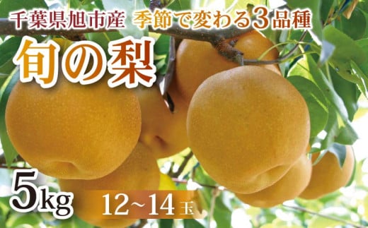 [ 先行予約 ]梨 約5kg 幸水 豊水 あきづき 12 〜 14玉 なし 梨産地 甘い 旬 夏果物 2025年発送 先行予約 果肉 しゃりしゃり 水水しい みずみずしい 糖度 くだもの 果物 フルーツ 旬のフルーツ 冷蔵 ふるさと納税 産地 送料無料 千葉県 千葉 旭市 旭市産 まる吉園 mkn