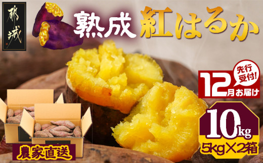 先行受付!【12月お届け】【農家直送】山下農園　熟成紅はるか 10kg_AA-I705-12_(都城市) 都城産 紅はるか S～2Lサイズ混合 山下農園 さつまいも兄弟 長期熟成 甘い