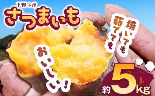 【先行予約】下野市産さつまいも 5kg  | さつまいも 芋 さつまいもご飯 炊き込みご飯 スイートポテト 大学芋 栗きんとん 秋 さつまいも 秋の味覚 栃木県 下野市 しもつけ市