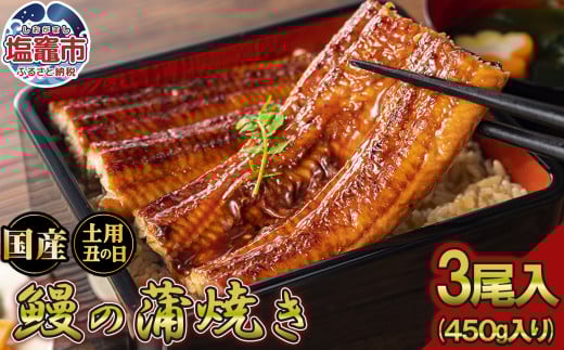 【ふるさと納税】  ふっくら肉厚！国産うなぎ蒲焼き 3尾セット (計450g) うなぎ 蒲焼き 国産うなぎ 鰻 土用の丑の日 冷凍うなぎ 真空パック 宮城県 塩竈市 三波食品