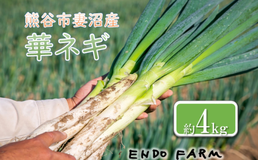 熊谷市産　はなを肥料に作られた循環保全循環型農業から作られた華ネギ(めぬまネギ)　※11月から発送