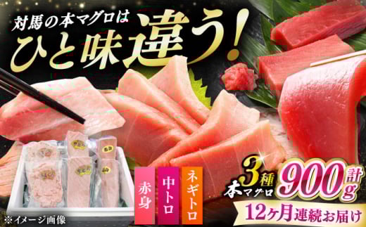 【全12回定期便】 対馬産 本マグロ 3種 計900g（赤身/中トロ/ネギトロ）《対馬市》【対海】 冷凍配送 食べ比べ 贈り物 魚介類 [WAH042] 2157713 - 長崎県対馬市