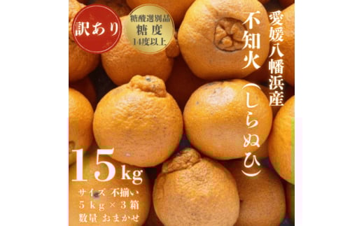 ＜糖度14.0以上酸1.4以下＞糖酸選別品 愛媛産 訳あり不知火(しらぬひ)15kg＜G20-96＞【1625364】