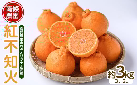 【先行予約】紅 不知火 (3L・2L) 約3kg しらぬい みかん ミカン 蜜柑 柑橘 果物 くだもの フルーツ  【南條農園】nannjyo-1440
