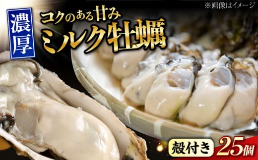 江田島ミルク牡蠣 殻付き 25個 加熱用 かき 広島県産 カキ 貝付き牡蠣 海鮮 贈呈用 BBQ 濃厚 新鮮 蒸し牡蠣 焼き牡蠣 グリル焼き 丸杉水産/江田島市 [XCY003]