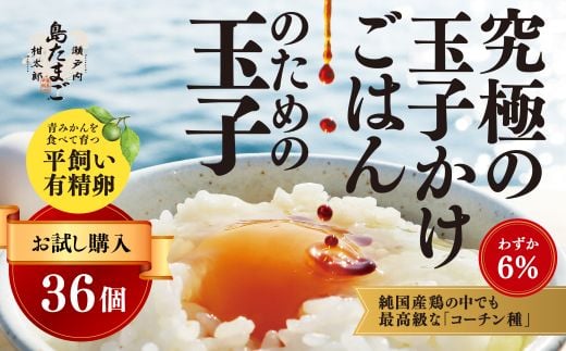 【お試し夏季】瀬戸内柑太郎『島たまご』平飼い有精卵 36個(34個＋割れ補償2個)  平飼い 純国産鶏 コーチン種 卵 たまご 佐木島 三原 広島 夏季 017071