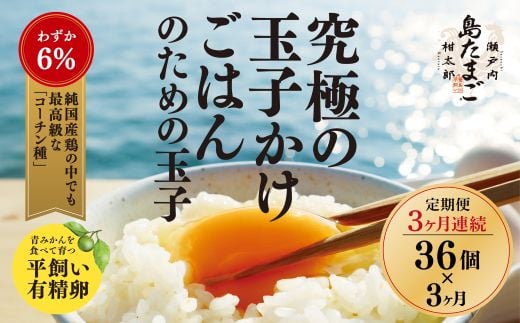 【3ヶ月 定期便夏季】瀬戸内柑太郎『島たまご』平飼い有精卵 36個(34個＋割れ補償2個)  平飼い 純国産鶏 コーチン種 卵 たまご 佐木島 三原 広島 3回 夏季 017070