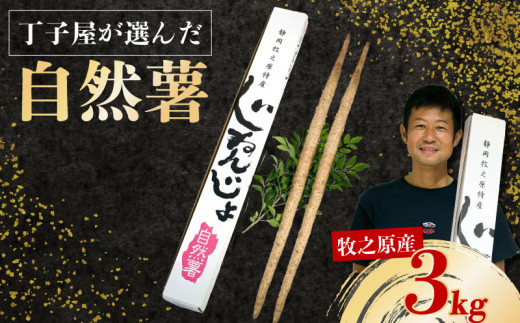 074-9　【R7年12月上旬からの発送】　丁子屋が選んだ 自然薯 台地のご馳走 3kg 新鮮 健康 長寿 とろろ 静岡県 牧之原市 ヤマゴ増田製茶 2006424 - 静岡県牧之原市