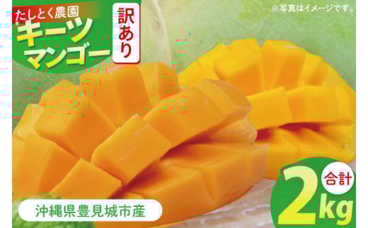 【2025年8月より順次発送】★訳あり★沖縄県豊見城市産キーツマンゴー 約2kg｜マンゴー キーツマンゴー 訳あり わけあり フルーツ くだもの 果物 数量限定 おきなわ 沖縄 沖縄フルーツ 豊見城市(DJ004)