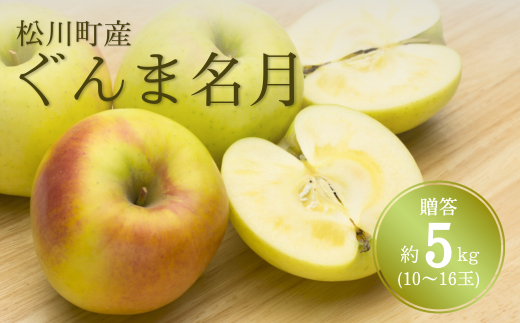 KR14-25A りんご ぐんま名月 贈答 約5kg（10～16玉） / 11月上旬頃～配送予定 // 長野県 南信州 リンゴ 林檎 ギフト 名月 農家直送 農家支援 産地直送 962680 - 長野県松川町
