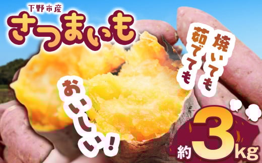 【先行予約】下野市産さつまいも 3kg  | さつまいも 芋 さつまいもご飯 炊き込みご飯 スイートポテト 大学芋 栗きんとん 秋 さつまいも 秋の味覚 栃木県 下野市 しもつけ市