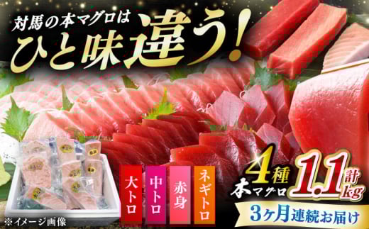 [全3回定期便] 対馬産 本マグロ 4種 計1.1kg(赤身/中トロ/大トロ/ネギトロ)[対馬市][対海] 冷凍配送 食べ比べ 新鮮 手巻き寿司 海鮮丼 