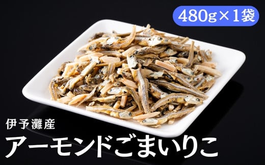 アーモンド小魚 480g×1袋 アーモンドフィッシュ アーモンドごまいりこ カルシウム 給食 オカベ 伊予灘産 伊予市 愛媛|A108 2157753 - 愛媛県伊予市