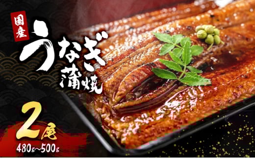 「国産うなぎ蒲焼」2尾(480g～500g)[№5385-0630]