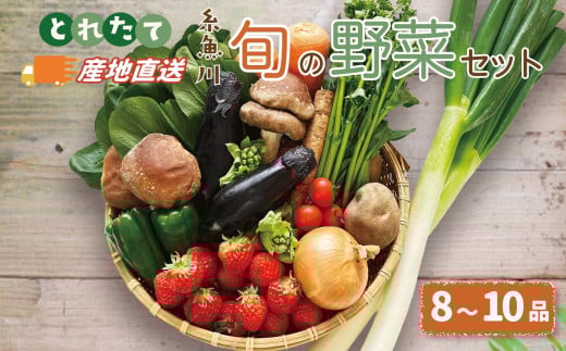  野菜の詰め合わせ『旬の野菜セット』（8～10品程度）直売所からお届け! 新鮮な野菜直送【大根･白菜･春菊･アスパラ菜･しいたけ･ほうれん草･ふきのとう･タラの芽･山菜･にんじん･イチゴ･トマト･きゅうり･ピーマン･ジャガイモ･玉ねぎ･オクラ･枝豆･トウモロコシ･なす･生きくらげ･長ネギ･サツマイモ･里芋】