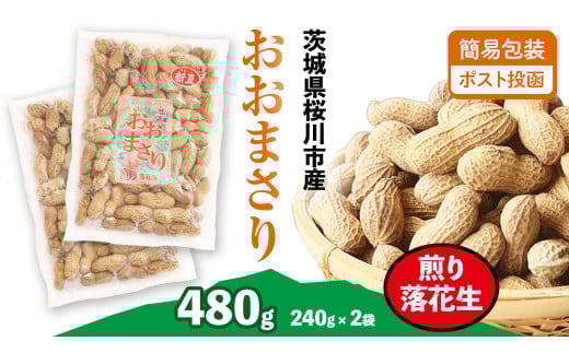おおまさり 煎り落花生 合計480g (240g×2袋) 【2025年11月上旬から発送開始】 簡易包装 ポスト投函  ご自宅用 ピーナッツ 落花生 おつまみ おやつ お菓子 ナッツ  [BB013sa]