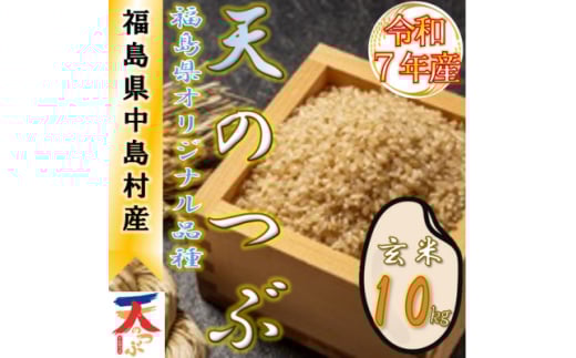 ＜数量限定/令和7年産＞中島村産『天のつぶ』(玄米)10kg【1633144】