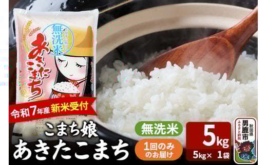 令和7年産新米受付『こまち娘』あきたこまち 無洗米 5kg×1袋 吉運商店 秋田県 男鹿市 お米 お弁当 おにぎり