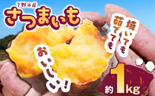 【先行予約】下野市産さつまいも 1kg  | さつまいも 芋 さつまいもご飯 炊き込みご飯 スイートポテト 大学芋 栗きんとん 秋 さつまいも 秋の味覚 栃木県 下野市 しもつけ市