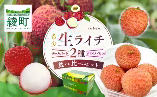 【宮崎県綾町産】綾生ライチ 2種食べ比べセット