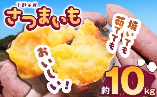 【先行予約】下野市産さつまいも 10kg  | さつまいも 芋 さつまいもご飯 炊き込みご飯 スイートポテト 大学芋 栗きんとん 秋 さつまいも 秋の味覚 栃木県 下野市 しもつけ市