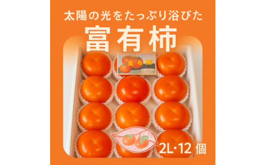 太陽の光をたっぷり浴びた松岡農園の富有柿(2L　12個)【1090793】 441485 - 和歌山県橋本市