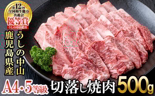 うしの中山 切り落とし焼肉用500g×1P 黒毛和牛 和牛 肉 牛肉 国産 九州産 鹿児島県産 焼肉 日本一 b0-202