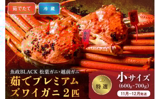 【蟹の匠 魚政】茹で　プレミアムズワイガニ 魚政BLACK（松葉ガニ・越前ガニ）特撰 小サイズ（600～700g） 2匹セット　(11月～12月発送)【土日祝】　松葉蟹 蟹 かに カニ ガニ がに ボイル 海産物 甲殻類 海の幸 まるごと　UO01302