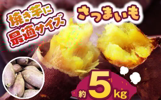 【先行予約】食べやすい焼き芋サイズ 5kg  | さつまいも 芋 さつまいもご飯 炊き込みご飯 スイートポテト 大学芋 栗きんとん 秋 さつまいも 秋の味覚 栃木県 下野市 しもつけ市