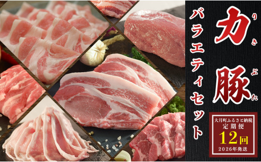 【定期便12回】ブランド豚 力豚バラエティーセット