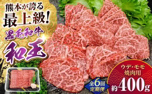 【全6回定期便】熊本県産 A5等級 黒毛和牛 和王 ウデ・モモ 焼肉用 約400g 計約2.4kg【帝神志方ミート 株式会社】 [AYCH026] 2052812 - 熊本県合志市